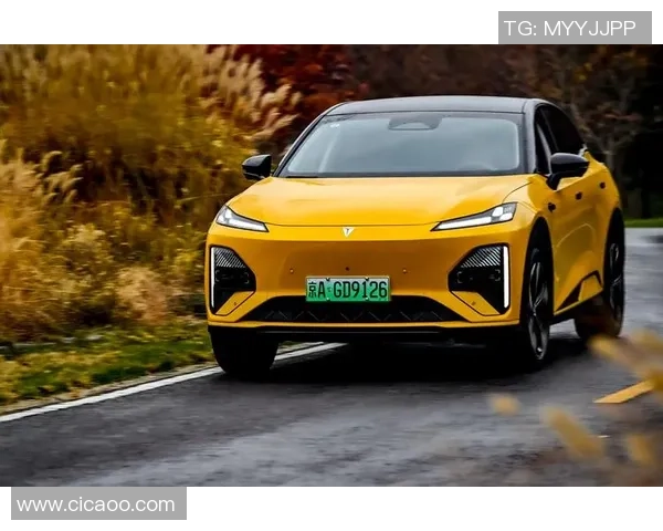 2024年全球电竞观众人数将突破65亿核心观众数量达到3亿